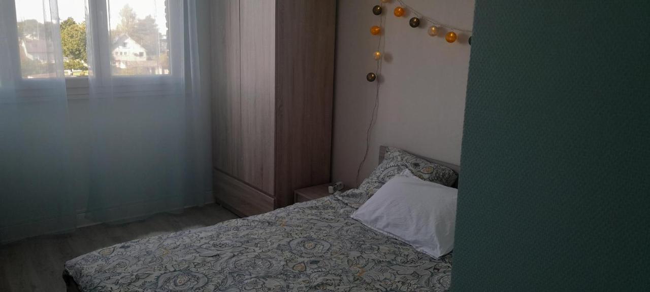Chateauroux : Bel Appartement Avec Balcon Dış mekan fotoğraf